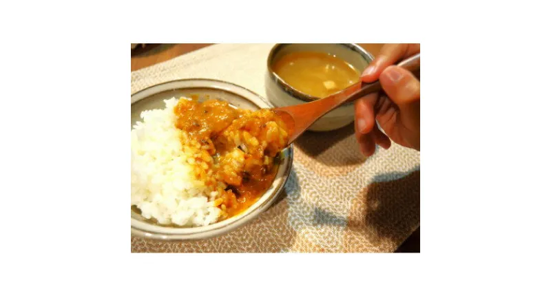 【ふるさと納税】【防府の玉葱】農家カレー チキン甘口4個セット【1476938】