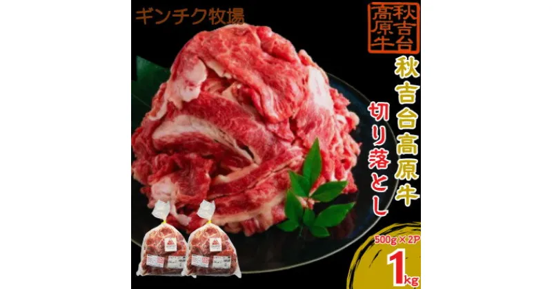 【ふるさと納税】秋吉台高原牛 切り落とし 合計約1kg (約500g×2)_ 牛肉 切り落とし 肉 和牛 高原牛 国産 産地直送 もも 肩 バラ 小分け 500g 冷凍 秋吉台高原牛 山口県 1kg 使いやすい 牛丼 肉じゃが 切り落し 便利 【配送不可地域：離島】【1493584】