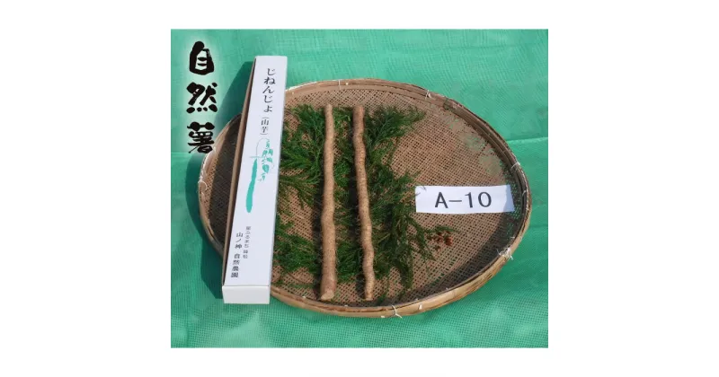 【ふるさと納税】No.174 自然薯　A-10 ／ 野菜 山芋 じねんじょ とろろ 送料無料 山口県