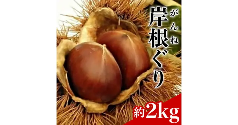 【ふるさと納税】 レビューキャンペーン実施中 岸根栗 岸根（がんね）ぐり　約2kg【山口県農業協同組合】