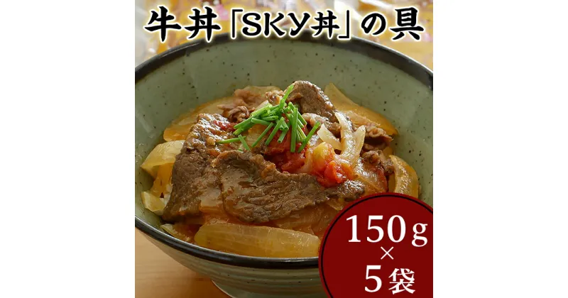 【ふるさと納税】 レビューキャンペーン実施中 地元食材を使ったオリジナル牛丼「SKY丼」の具（5袋セット）