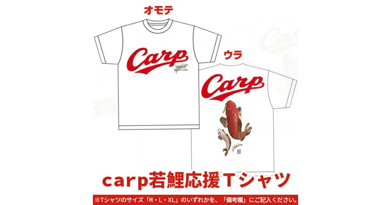 【ふるさと納税】 レビューキャンペーン実施中 カープ 広島カープ carp若鯉応援Tシャツ