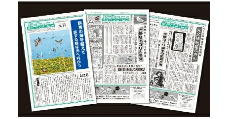 【ふるさと納税】地方紙 瀬戸内タイムス 3ヶ月購読 定期便 送料無料 ご当地 ローカル紙 山口県 光市 新聞 R003