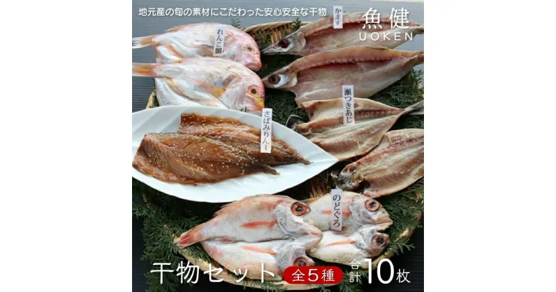 【ふるさと納税】一夜干し 干物 アジ さばみりん 魚健 干物セット 5種 (1121)