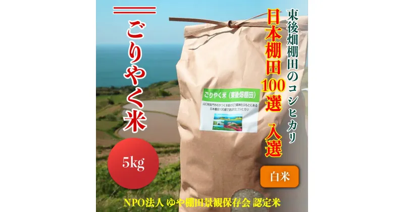 【ふるさと納税】お米 コシヒカリ 5kg 「ごりやく米」　棚田米 東後畑 長門市 山口県 白米(1149)