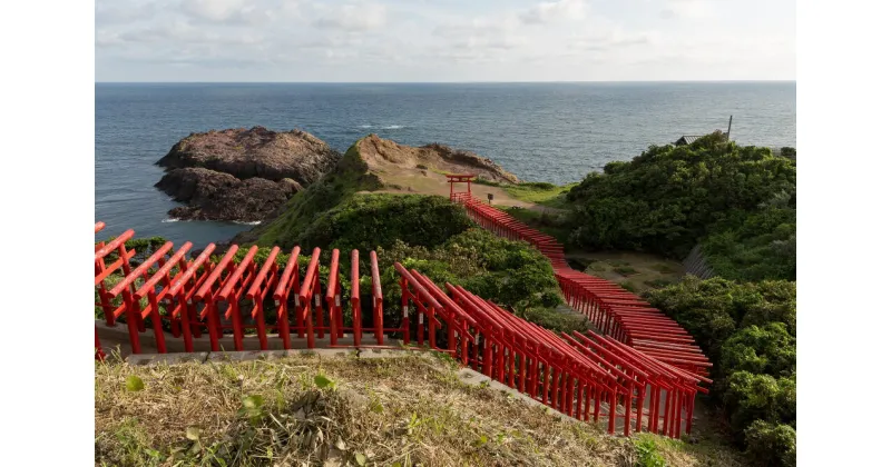 【ふるさと納税】フォトグラファー安森信が撮る長門市の風景「元乃隅神社」カラー(1515-1)