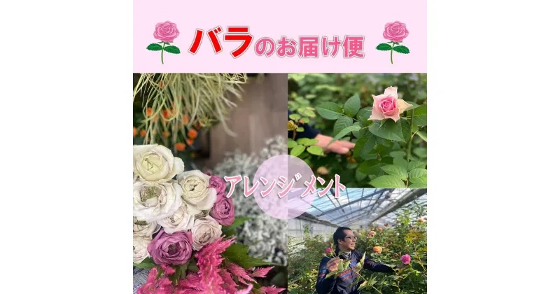 【ふるさと納税】お花 フラワー 花 バラ バラ園 アレンジメント お届け便 山口県 贈り物 ギフト (1257)