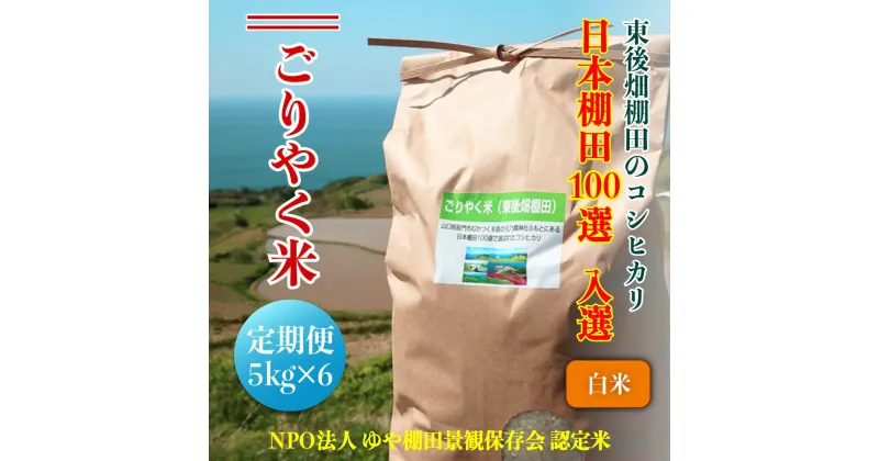 【ふるさと納税】お米 白米 コシヒカリ 5kg 「ごりやく米」　棚田米 東後畑 毎月 年6回 定期便 (1604)