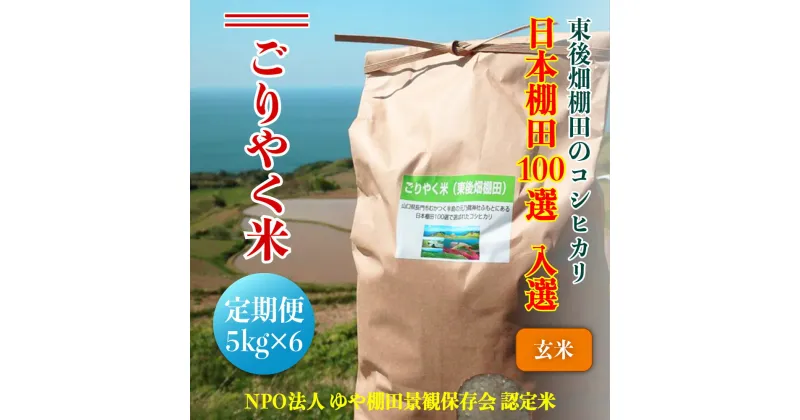 【ふるさと納税】 お米 コシヒカリ 玄米 5kg ごりやく米棚田米 東後畑 毎月年6回 定期便(1605)