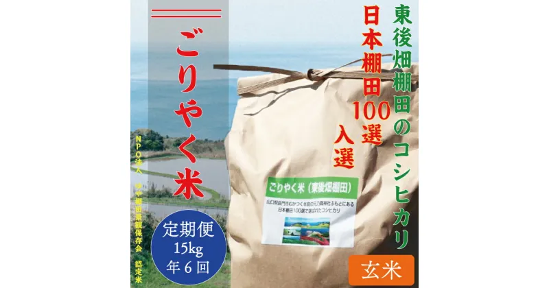 【ふるさと納税】 お米 コシヒカリ 玄米15kg　「ごりやく米」　棚田米 東後畑 毎月年6回 定期便(180002)