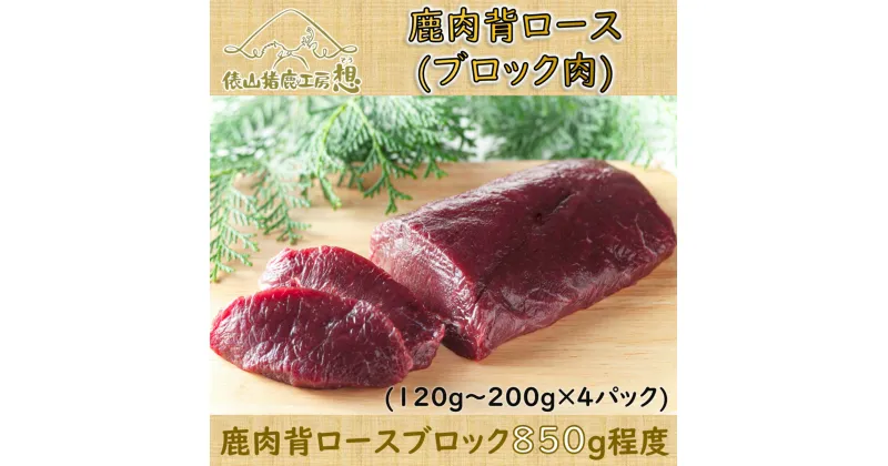 【ふるさと納税】ジビエ 鹿肉 背ロース ブロック肉 「鹿肉背ロース（ブロック肉）850g程度」 精肉　(120g〜200g×4パック)　ヘルシー（1046）