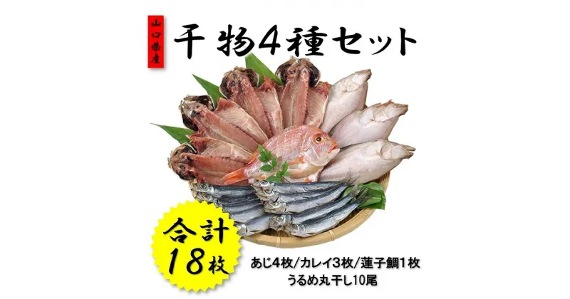 【ふるさと納税】干物 山口県産 干物セット アジ開き カレイ 連子鯛 うるめ丸干し 詰合せ 新鮮 (1047)