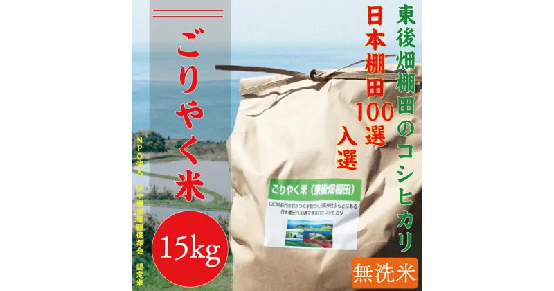 【ふるさと納税】 無洗米　玄米相当分　こしひかり15kg 「ごりやく米」　棚田米(1343)