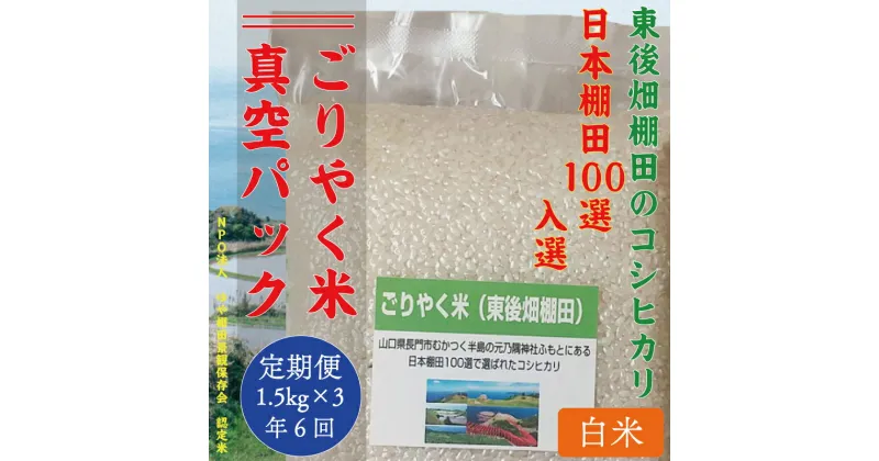 【ふるさと納税】米 お米 真空パック 毎月白米 精米 こしひかり 小分け ごりやく米 「東後畑棚田こしひかり」 白米4.5kg (白米真空パック1.5kg×3個) 棚田米長門市 お米の定期便 定期購入 定期便 (1901)