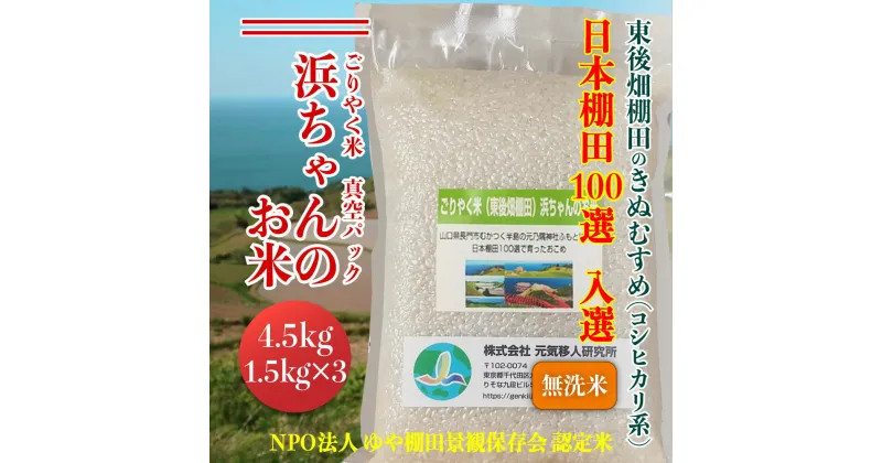 【ふるさと納税】米 こめ お米 無洗米 精米 きぬむすめ ごりやく米 「東後畑棚田きぬむすめ」 無洗米4.5kg 真空パック 1.5kg×3個 小分け 棚田米 棚田 長門市 (10009)