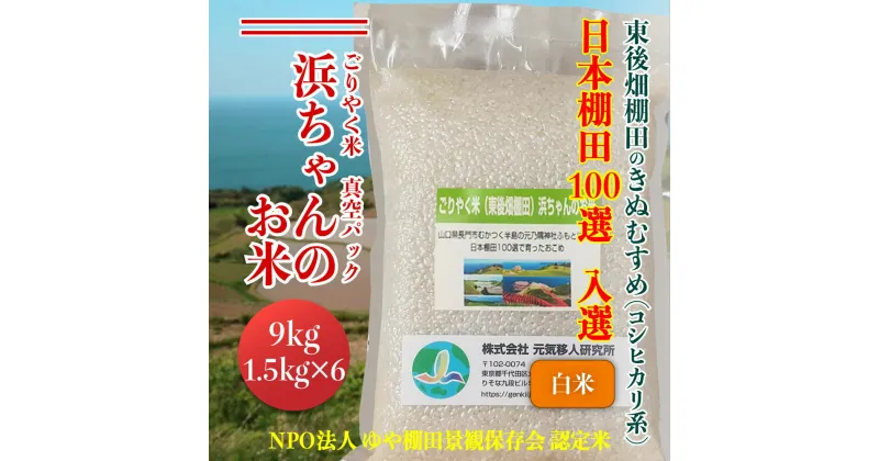 【ふるさと納税】米 こめ お米 白米 精米 きぬむすめ ごりやく米 「東後畑棚田きぬむすめ」 白米9.0kg 真空パック 1.5kg×6個 小分け 棚田米 棚田 長門市 (1360)