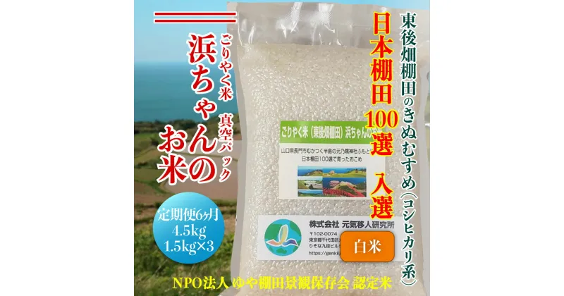 【ふるさと納税】米 お米 白米真空パック 定期便 定期 毎月 毎月コース 白米 精米 きぬむすめ 真空 真空パック 小分け ごりやく米 「東後畑棚田きぬむすめ」 白米4.5 kg(白米真空パック1.5kg×3個) 棚田米 棚田 長門市 お米の定期便 定期購入 (1903)