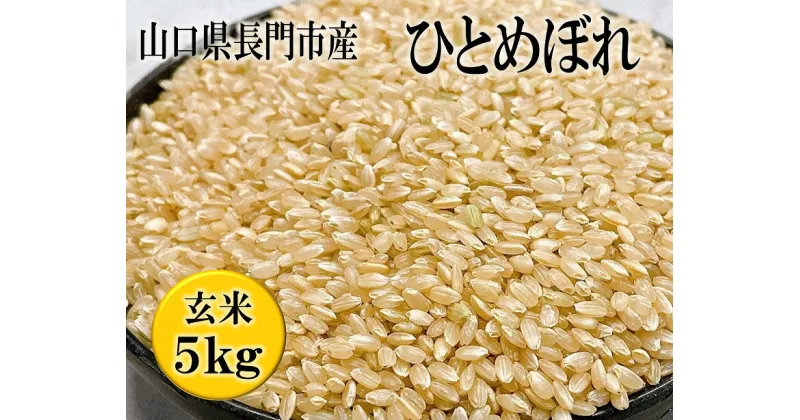 【ふるさと納税】お米 米 こめ 玄米 日置ノ庄 ひとめぼれ 5kg おにぎり 長門市 (10015)