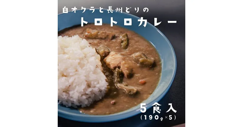 【ふるさと納税】カレー 白オクラカレー 長州どり トロトロカレー ご当地カレー 5箱セット 5食 190g 希少野菜 長門市 オリジナルカレー (10030)