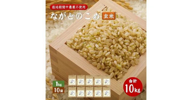 【ふるさと納税】ながとのこめ こしひかり 玄米 1kg×10袋 合計10kg コシヒカリ 小分けパック 栽培期間中農薬不使用 長門市 令和6年度産 (12021)