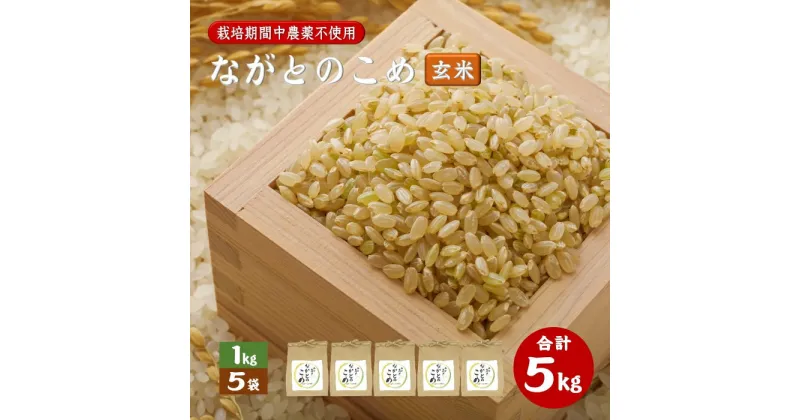 【ふるさと納税】なとがのこめ こしひかり 玄米 1kg×5袋 合計5kg コシヒカリ 小分け 栽培期間中農薬不使用 長門市 (10054)