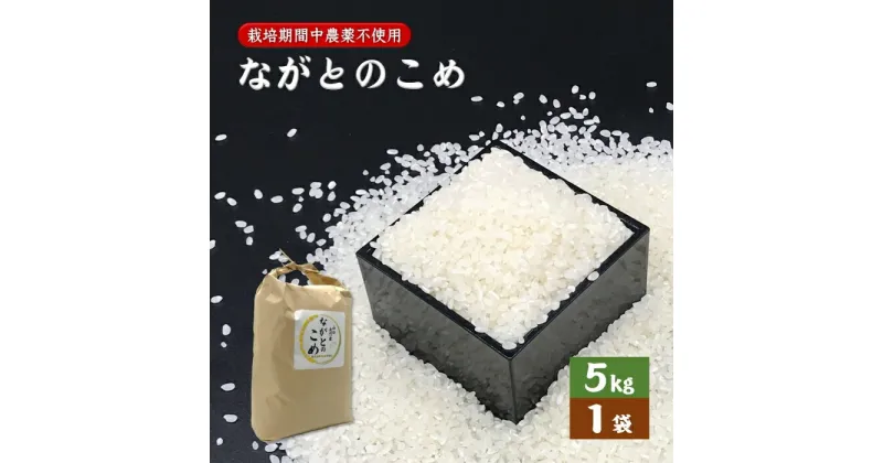 【ふるさと納税】ながとのこめ こしひかり 白米 5kg×1袋 コシヒカリ 精米 栽培期間中農薬不使用 長門市 令和6年度産 (10055)