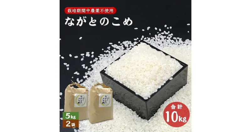 【ふるさと納税】ながとのこめ こしひかり 白米 5kg×2袋 合計10kg コシヒカリ 精米 栽培期間中農薬不使用長門市 令和6年度産 (12023)