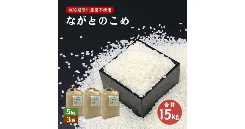 【ふるさと納税】ながとのこめ こしひかり白米 5kg×3袋 コシヒカリ 合計15kg 精米 栽培期間中農薬不使用 長門市 令和6年度産(1365)