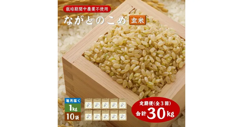 【ふるさと納税】定期便 ながとのこめ 玄米 1kg×10袋 毎月 全3回 合計30kg コシヒカリ こしひかり 長門市 (1614)