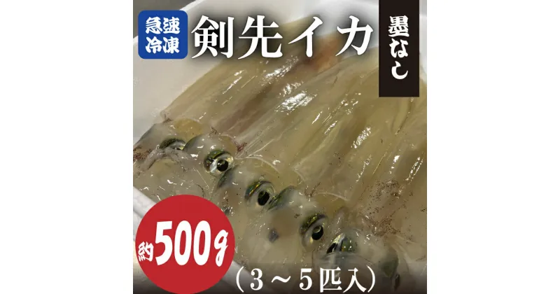 【ふるさと納税】剣先イカ 冷凍 墨なし 急速冷凍 真空パック 約500g 3～5杯 長門市 (10067)