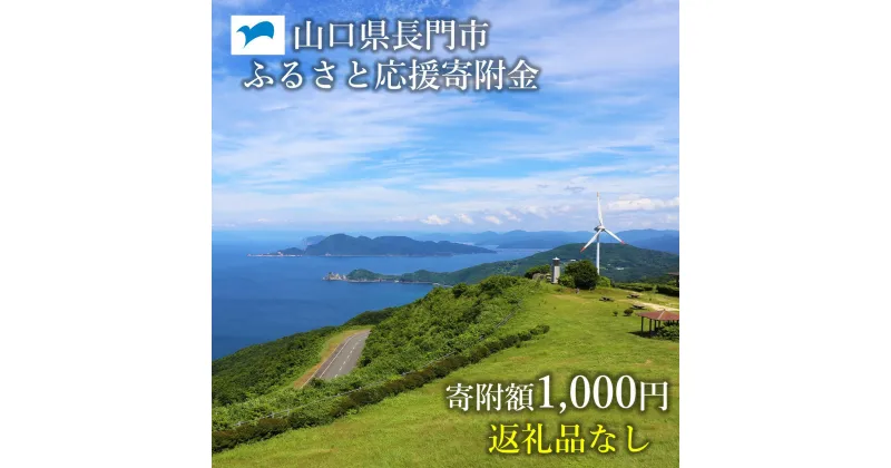 【ふるさと納税】山口県長門市ふるさと応援寄付金1,000円分(返礼品なし)