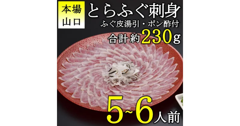 【ふるさと納税】《レビューキャンペーン》とらふぐ 刺身 5-6人前 ふぐ フグ てっさ 限定 高級 魚介 海鮮 ギフト 贈答 人気 冷凍 (10101)