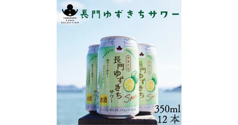 【ふるさと納税】長門ゆずきちサワー350ml×12本 (10107)