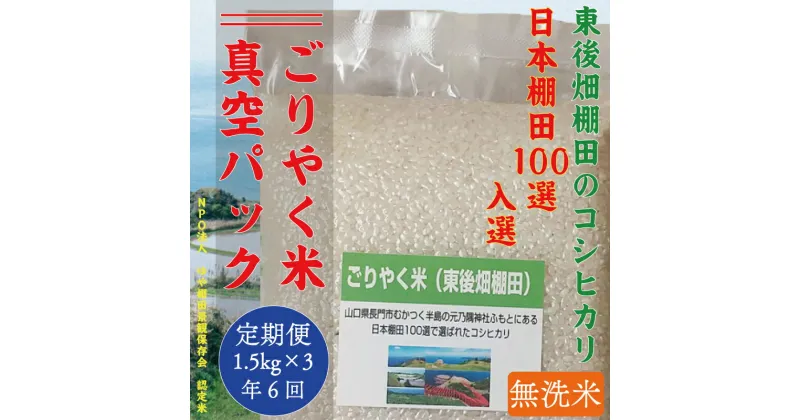 【ふるさと納税】 ごりやく米 「東後畑棚田こしひかり」 白米4.5kg (無洗米真空パック1.5kg×3個) 毎月発送年6回 小分け 棚田米 棚田 長門市 お米の定期便 定期購入定期便(1902)