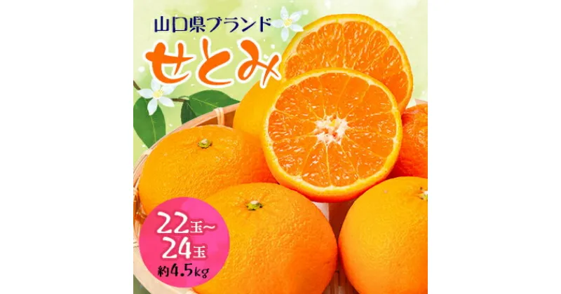 【ふるさと納税】【山口県ブランド】せとみ　22～24玉(約4.5kg)【1432238】