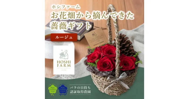 【ふるさと納税】ホシファーム　『お花畑から摘んできた薔薇ギフト』ルージュ【配送不可地域：離島・北海道・沖縄県】【1465210】