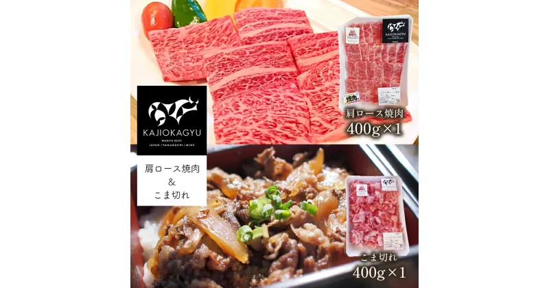 【ふるさと納税】梶岡牛 肩ロース焼肉・こま切れ ｜ 牛肉 肉 にく お取り寄せ グルメ 肩ロース 焼肉 こま切れ セット 詰め合わせ 冷凍 特産品 熟成 長期飼育 山口 美祢市 美祢