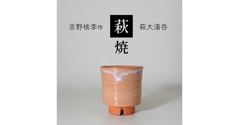 【ふるさと納税】 萩焼 吉野桃李作 萩大湯呑 ｜ 和食器 食器 お洒落 オシャレ 工芸品 名産品 萩焼 湯呑 キッチン 山口 美祢市 美祢 特産品