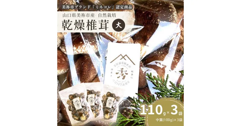 【ふるさと納税】 乾燥椎茸 食感も香りもおいしい しいたけ 乾燥 袋(大) 中葉(110g入り)×3袋セット ｜ 乾燥椎茸 椎茸 しいたけ きのこ 乾燥 中葉 肉厚 和食 洋食 料理 出汁 手土産 特産品 山口県 美祢市 美祢