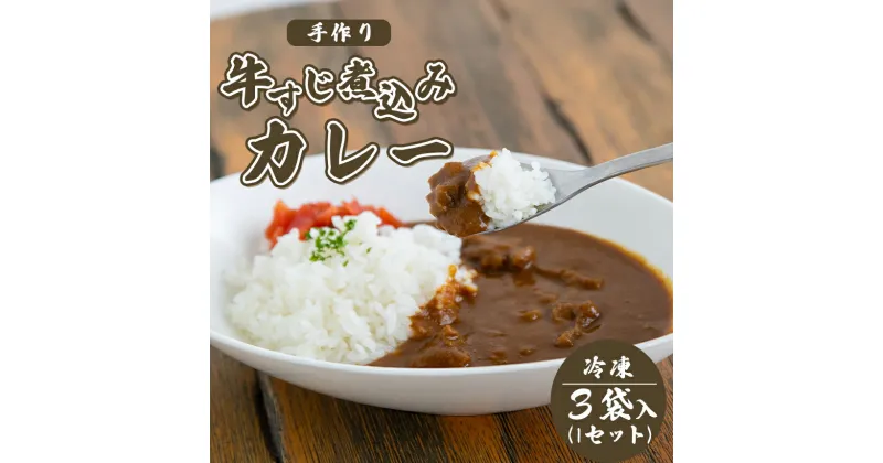 【ふるさと納税】手作り 牛すじ煮込みカレー (冷凍) ｜ グルメ お取り寄せ 手作り カレー 牛すじ 野菜 牛肉 惣菜 冷凍 山口 美祢市 美祢 特産品