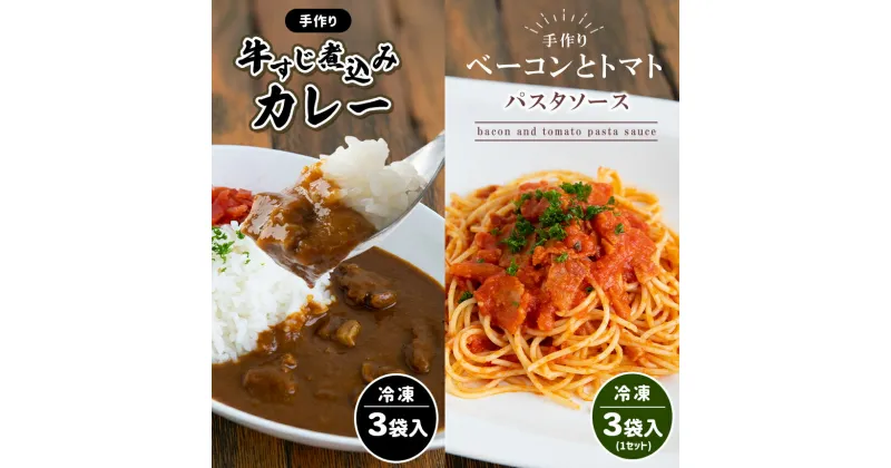 【ふるさと納税】 手作り 牛すじ煮込みカレー＆ベーコンとトマトのパスタソース 【冷凍】 ｜ 煮込み カレー 美祢市産 野菜 牛すじ パスタソース トマトソース 惣菜 セット 詰め合わせ 冷凍 特産品 山口 美祢市 美祢