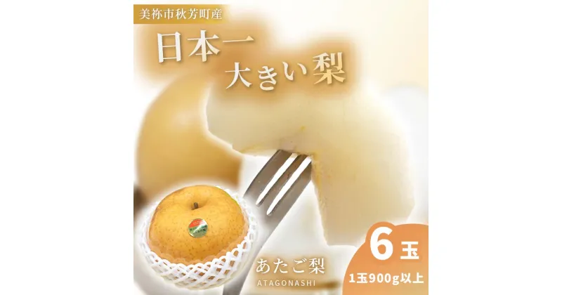 【ふるさと納税】 あたご梨 約 900g × 6玉 先行予約〈2024年 11月 ～ 12月末 の 発送 〉｜ 梨 あたご なし フルーツ 果物 くだもの BIG ビッグ 大きい 特産品 美祢市 山口県 美祢 秋芳 秋芳町 カルスト台地 先行予約 期間限定 900g