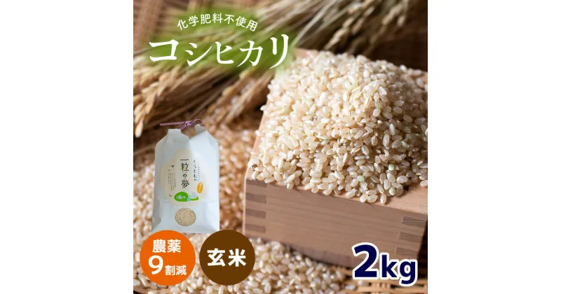 【ふるさと納税】 農薬9割減 ・ 化学肥料不使用 コシヒカリ(玄米) 2kg （10月中旬以降の発送）｜ 有機農産物 認証推進協会認定 玄米 お米 米 こしひかり 農薬減 美祢市 山口県 秋芳 カルスト台地 湧き水 ミネラル 結び家 くらとも