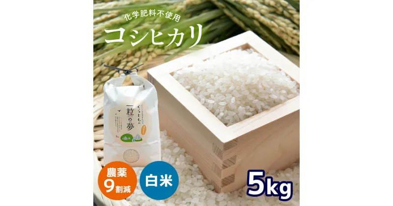 【ふるさと納税】 農薬9割減 ・ 化学肥料不使用 コシヒカリ 5kg （10月中旬以降の発送）｜ 有機農産物認証推進協会認定 精米 お米 米 こしひかり 農薬減 美祢市 山口県 秋芳 カルスト台地 湧き水 ミネラル 結び家 くらとも