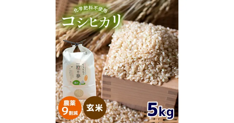 【ふるさと納税】 農薬9割減 ・ 化学肥料不使用 コシヒカリ(玄米) 5kg（10月中旬以降の発送） ｜ 有機農産物認証推進協会認定 玄米 お米 米 こしひかり 農薬減 美祢市 山口県 秋芳 カルスト台地 湧き水 ミネラル 結び家 くらとも