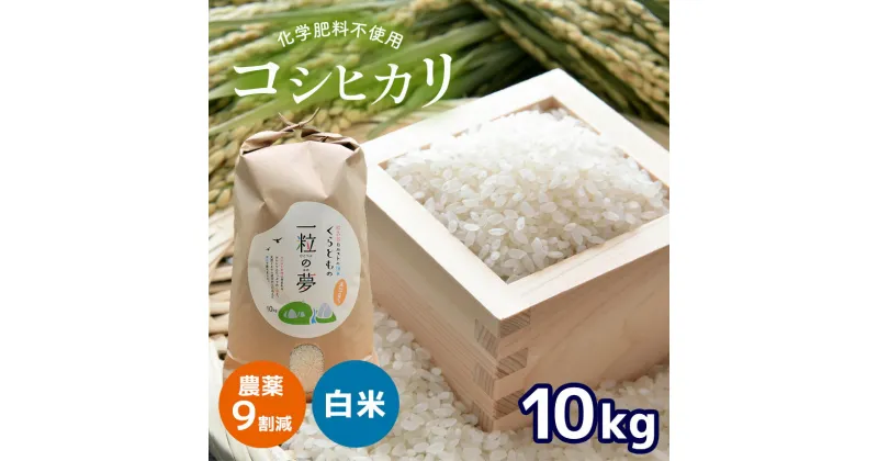 【ふるさと納税】 農薬9割減 ・ 化学肥料不使用 コシヒカリ 10kg（10月中旬以降の発送） ｜ 有機農産物認証推進協会認定 精米 お米 米 こしひかり 農薬減 美祢市 山口県 秋芳 カルスト台地 湧き水 ミネラル 結び家 くらとも