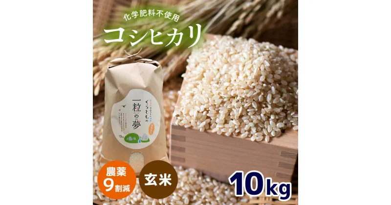 【ふるさと納税】 農薬9割減 ・ 化学肥料不使用 コシヒカリ(玄米) 10kg （10月中旬以降の発送）｜ 有機農産物認証推進協会認定 玄米 お米 米 こしひかり 農薬減 美祢市 山口県 秋芳 カルスト台地 湧き水 ミネラル 結び家 くらとも