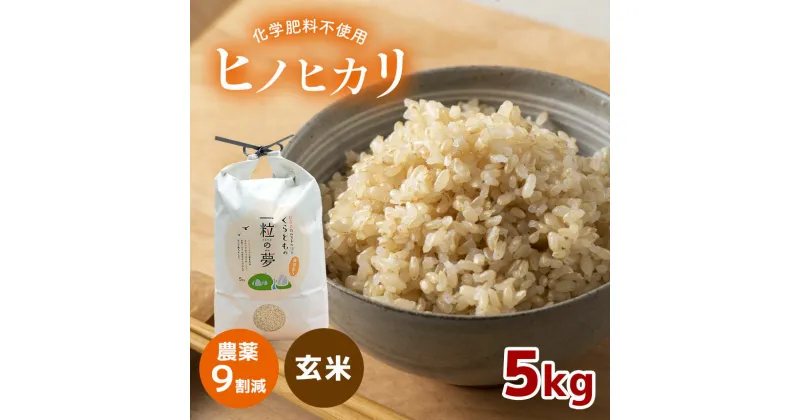 【ふるさと納税】 農薬9割減 ・ 化学肥料不使用 ヒノヒカリ(玄米) 5kg （11月以降の発送）｜ 有機農産物認証推進協会認定 玄米 お米 米 ひのひかり 農薬減 美祢市 山口県 秋芳 カルスト台地 湧き水 ミネラル 結び家 くらとも