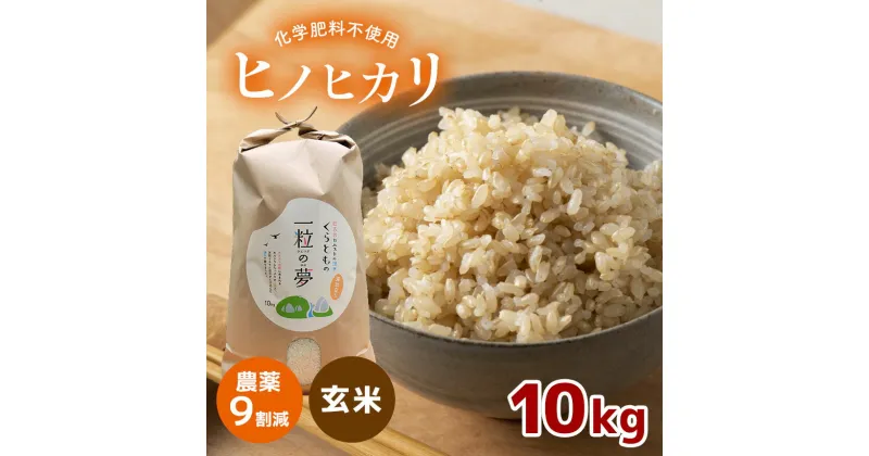 【ふるさと納税】 農薬9割減 ・ 化学肥料不使用 ヒノヒカリ(玄米) 10kg（11月以降の発送） ｜ 有機農産物認証推進協会認定 玄米 お米 米 ひのひかり 農薬減 美祢市 山口県 秋芳 カルスト台地 湧き水 ミネラル 結び家 くらとも