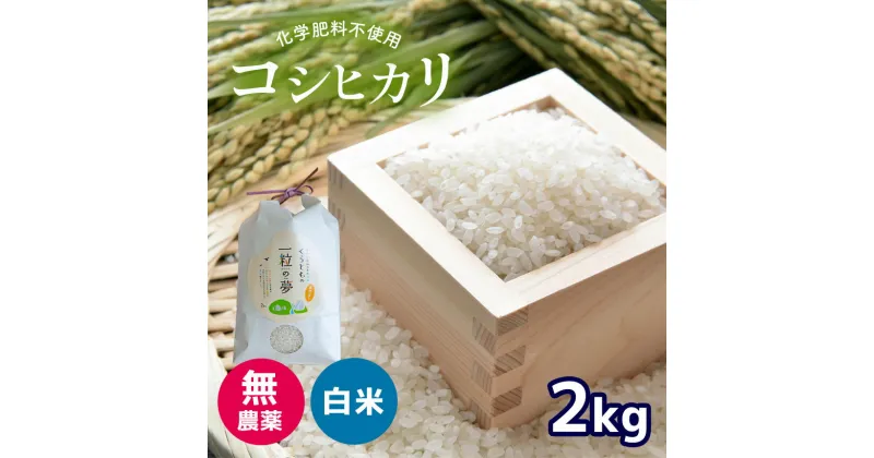 【ふるさと納税】 無農薬 ・ 化学肥料不使用 コシヒカリ 2kg （10月中旬以降の発送） ｜ 有機農産物認証推進協会認定 精米 お米 米 こしひかり 無農薬 美祢市 美祢 山口県 秋芳 カルスト台地 湧き水 ミネラル 結び家 くらとも